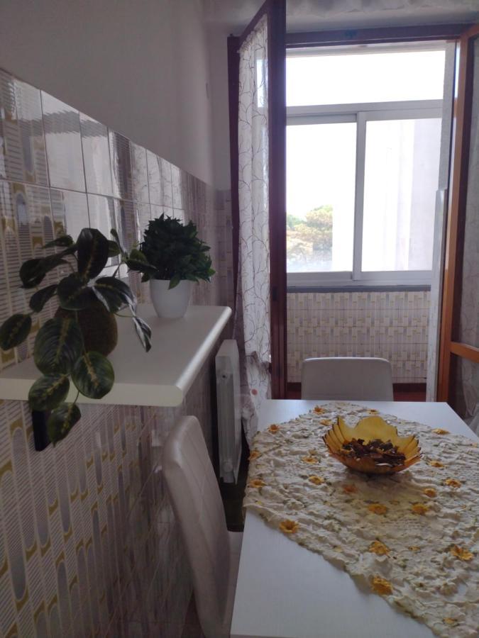 بيزا B&B L'Orchidea المظهر الخارجي الصورة