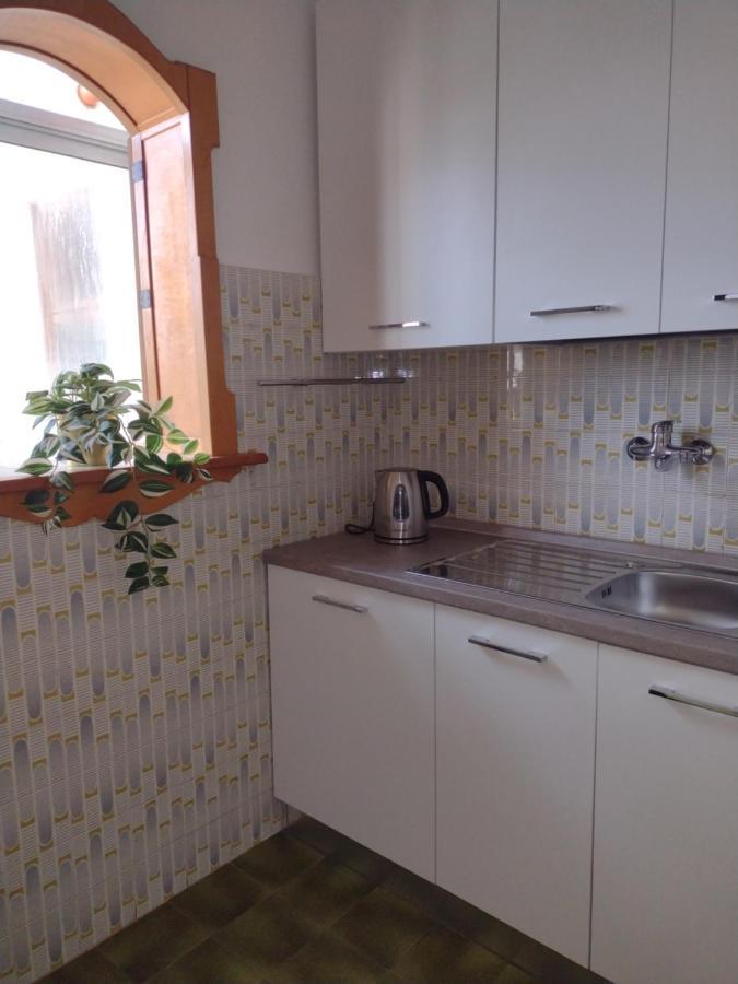 بيزا B&B L'Orchidea المظهر الخارجي الصورة