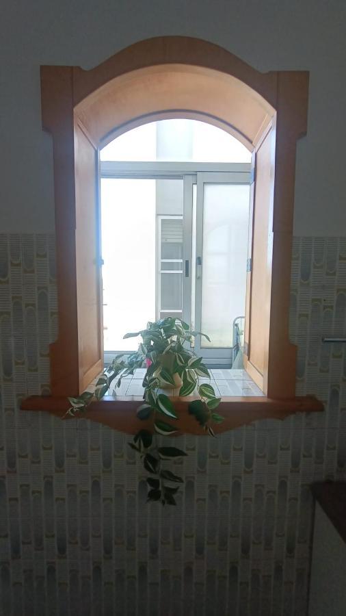 بيزا B&B L'Orchidea المظهر الخارجي الصورة