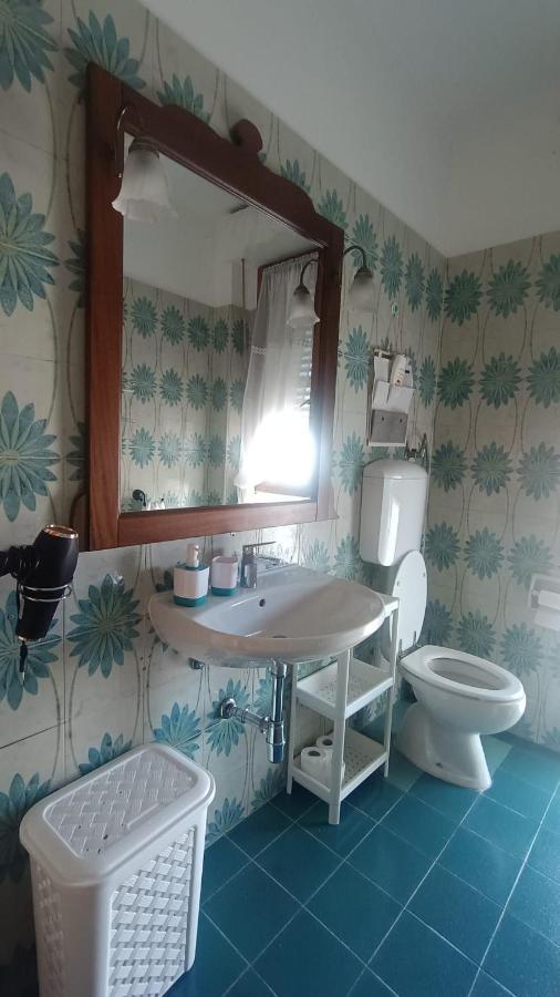بيزا B&B L'Orchidea المظهر الخارجي الصورة